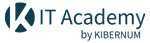 IT Academy
