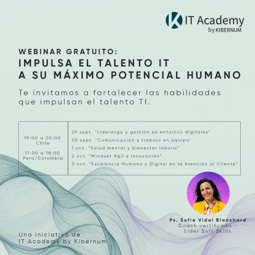webinar soft skills